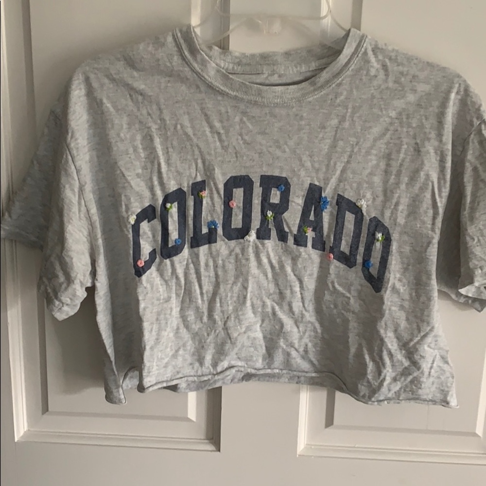 hand embroidered brandy melville cropped t shirt